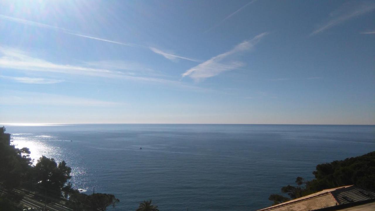 Mare E Vista Portofino - Sea And Portofino View Zoagli Ngoại thất bức ảnh