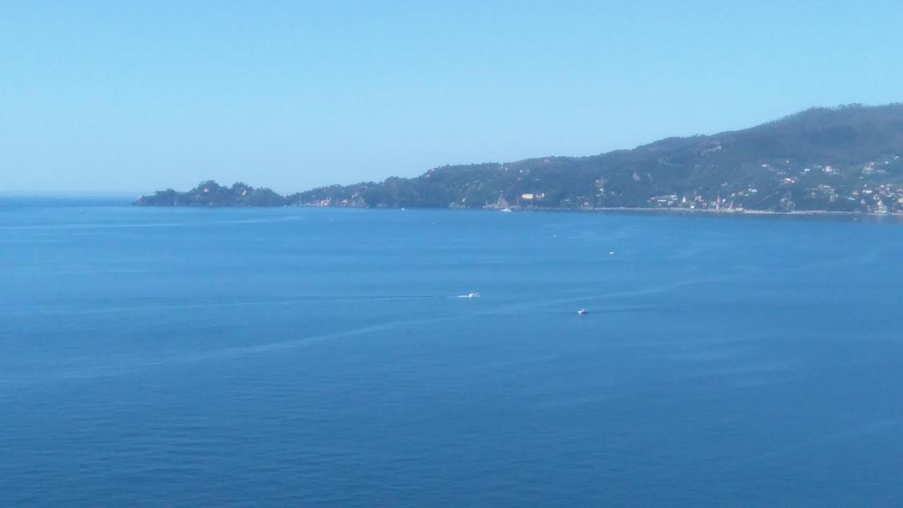 Mare E Vista Portofino - Sea And Portofino View Zoagli Ngoại thất bức ảnh