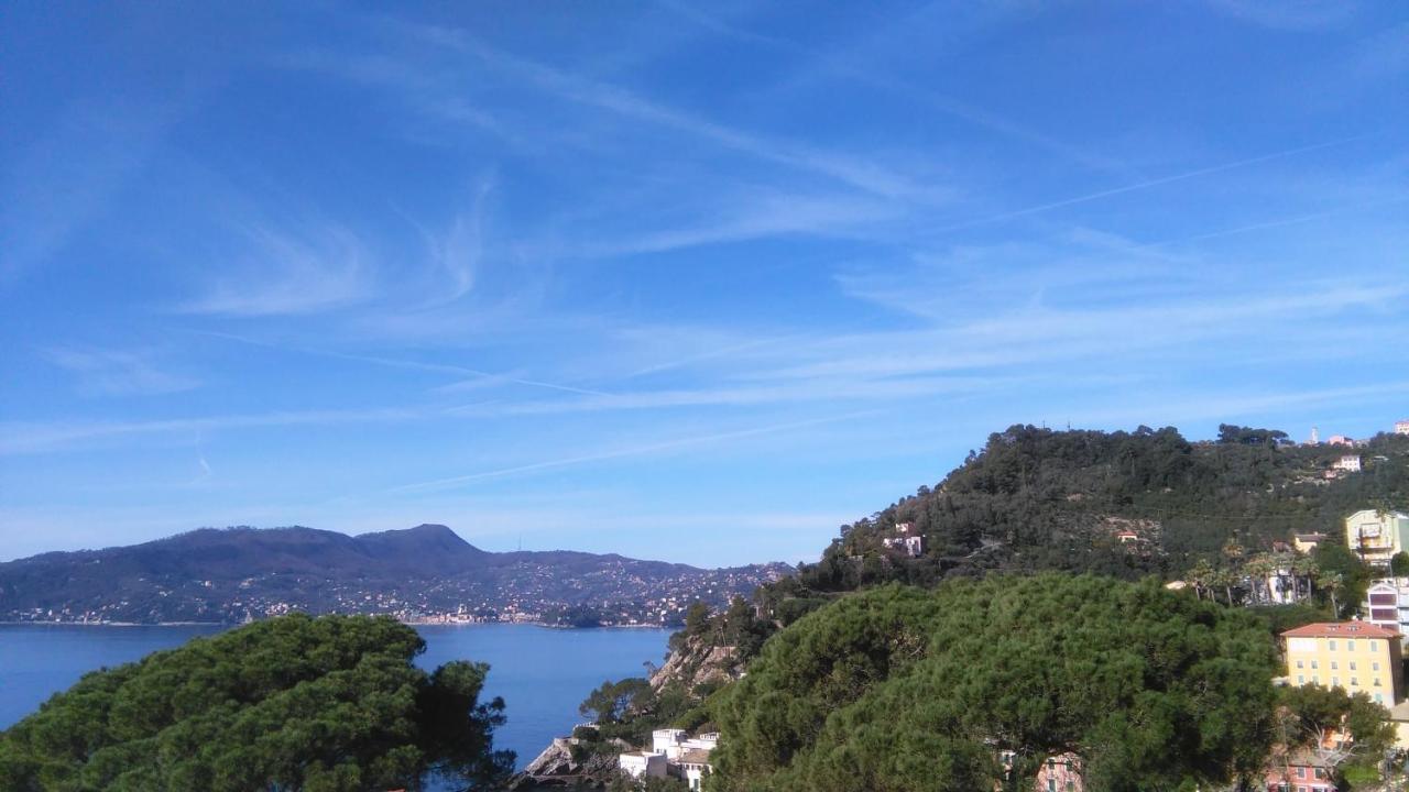 Mare E Vista Portofino - Sea And Portofino View Zoagli Ngoại thất bức ảnh