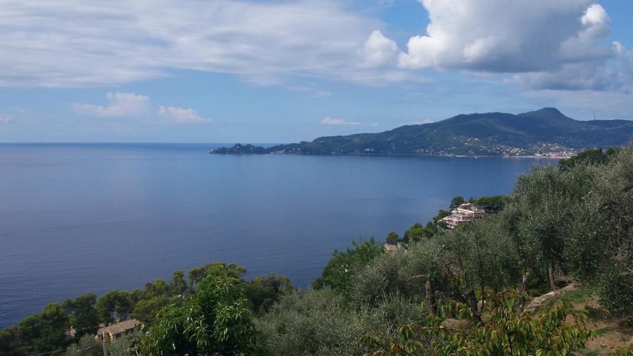 Mare E Vista Portofino - Sea And Portofino View Zoagli Ngoại thất bức ảnh