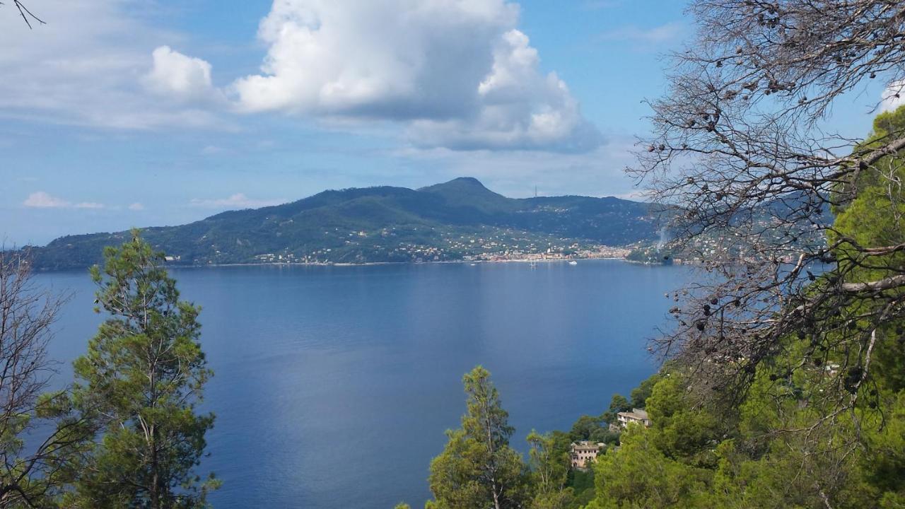 Mare E Vista Portofino - Sea And Portofino View Zoagli Ngoại thất bức ảnh