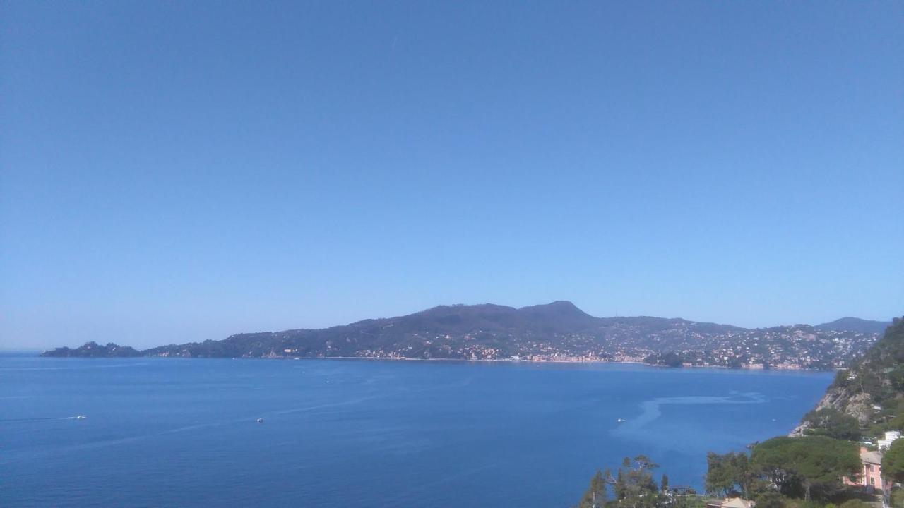 Mare E Vista Portofino - Sea And Portofino View Zoagli Ngoại thất bức ảnh