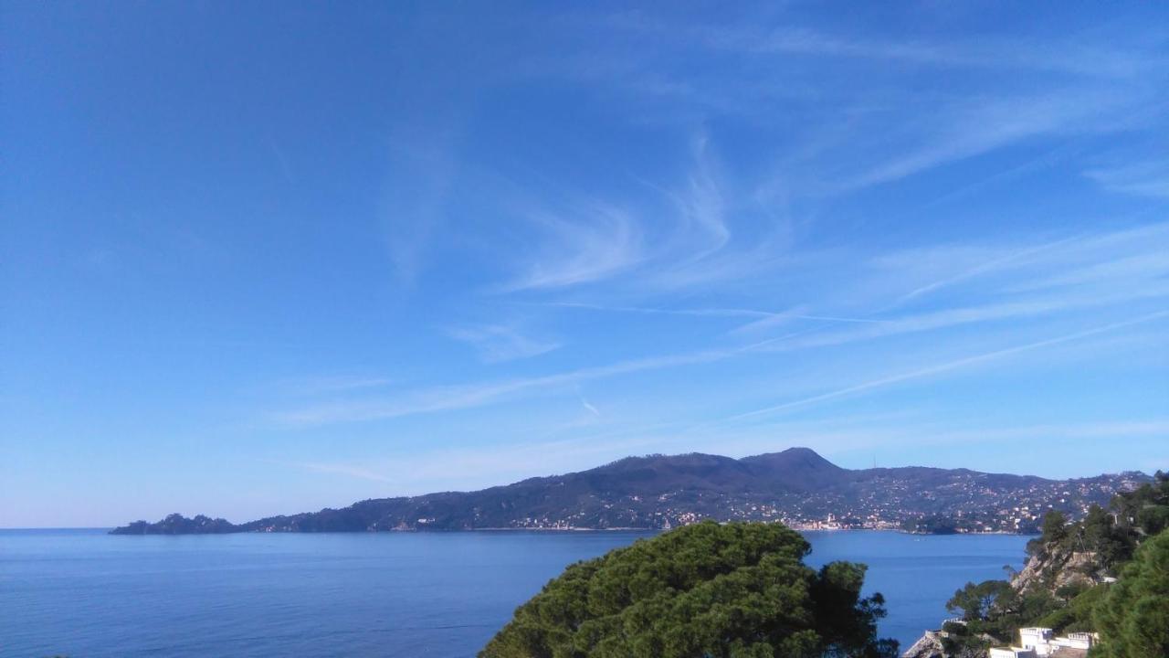 Mare E Vista Portofino - Sea And Portofino View Zoagli Ngoại thất bức ảnh