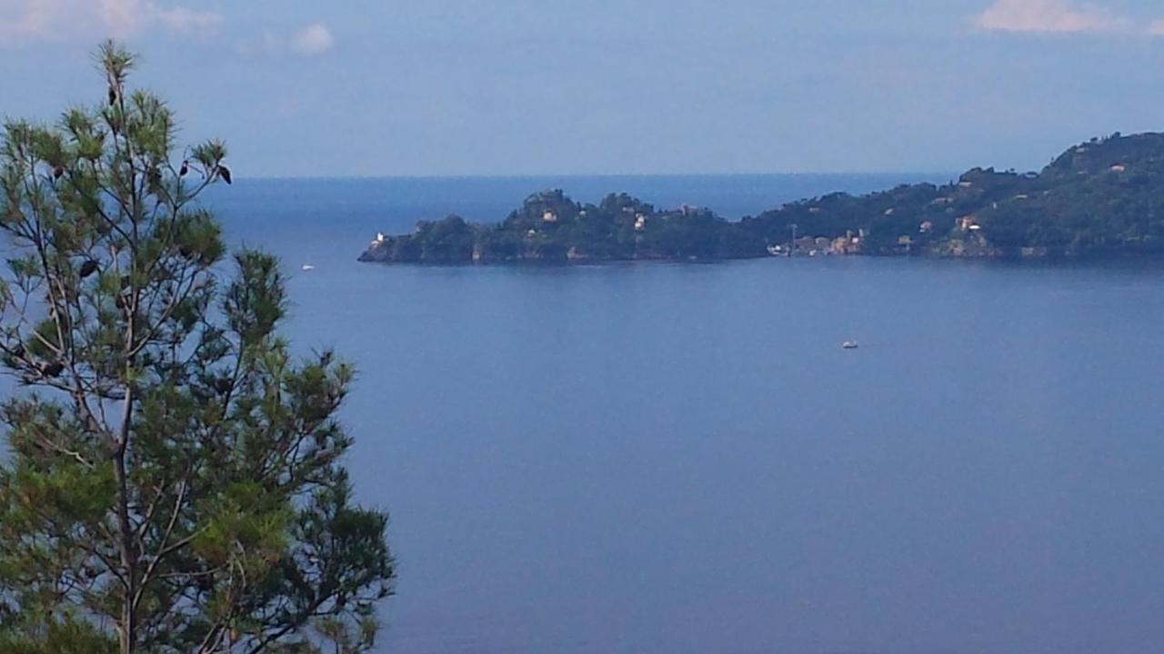 Mare E Vista Portofino - Sea And Portofino View Zoagli Ngoại thất bức ảnh